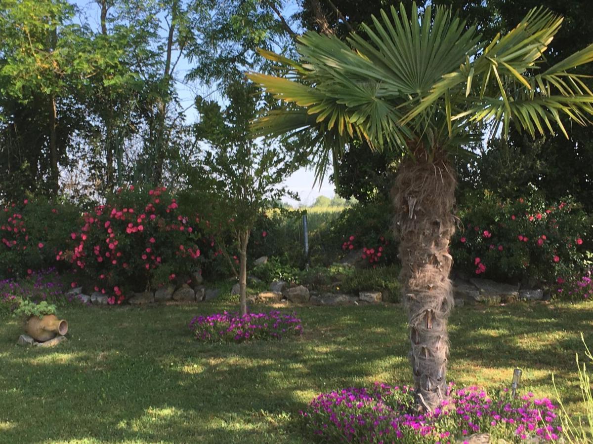 Appartement Mansarde Et Climatise 50 M2 Pompignan  Buitenkant foto